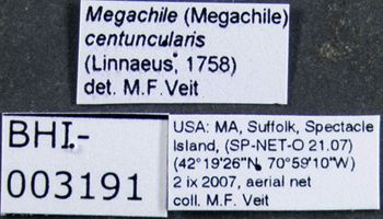 Media type: image;   Entomology 610866 Aspect: labels